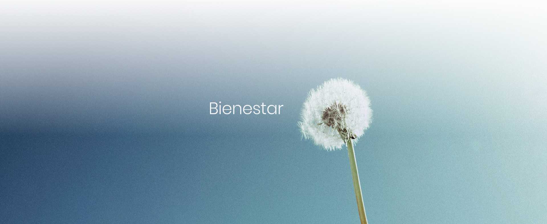 Bienestar bienestar