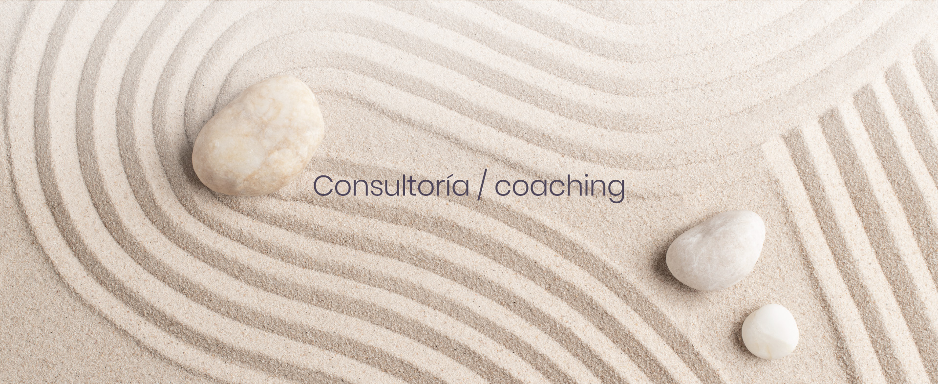 head-consultoria-mob bienestar