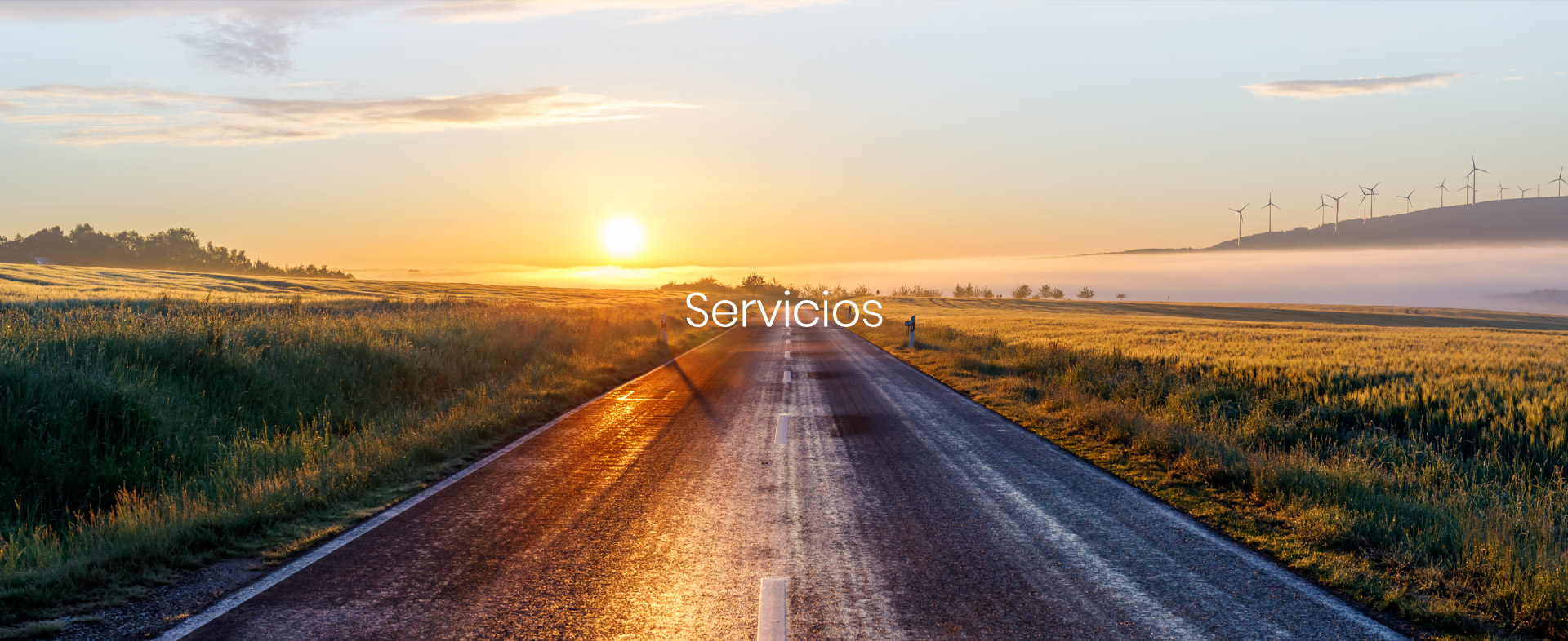 head-servicios-mob2 Servicios